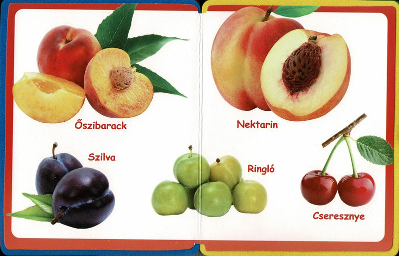 Szivacskönyv - Gyümölcsök